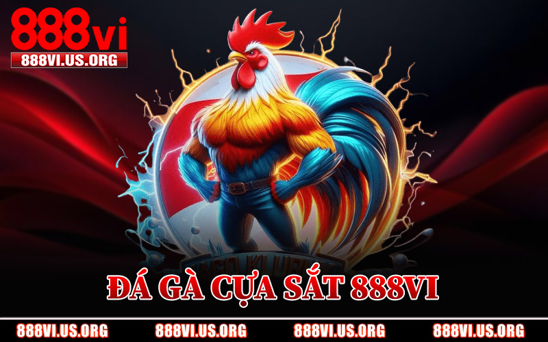 Đá Gà Cựa Sắt 888VI – Trận Đấu Cựa Sắt Diễn Ra Mỗi Ngày 6 Đá Gà Cựa Sắt 888VI