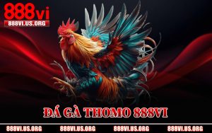 Đá Gà Thomo 888VI